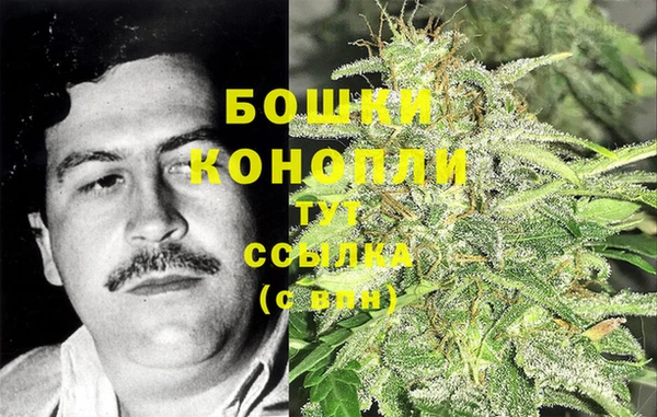 mix Богородицк